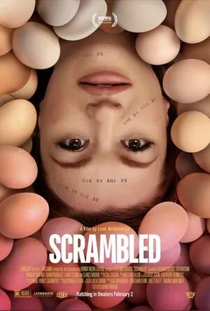 Scrambled 2023 Hindi Dual Audio HD Poster Download - Filmyzilla