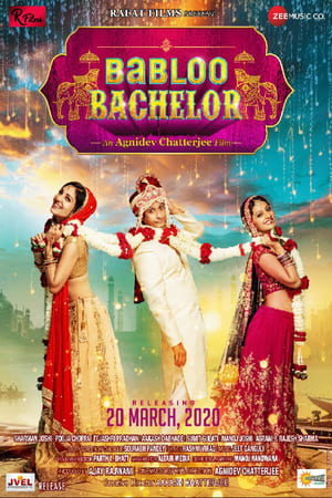 Babloo Bachelor (2021) Hindi Movie – HD Poster Download - Filmyzilla