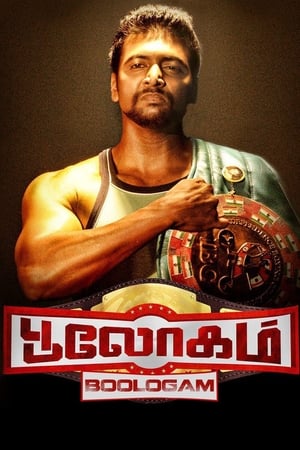 Bhaigiri 2 2018 Hindi Dubbed 350MB HD Poster Download - Filmyzilla
