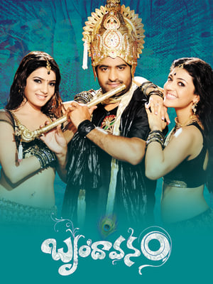 Brindavanam (The Super Khiladi) (2010) (Hindi – Telugu) Dual Audio 600MB HD Poster Download - Filmyzilla