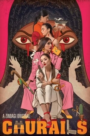 Churails (2020) Season 01 All Episodes Hindi [Complete] – HD Poster Download - Filmyzilla