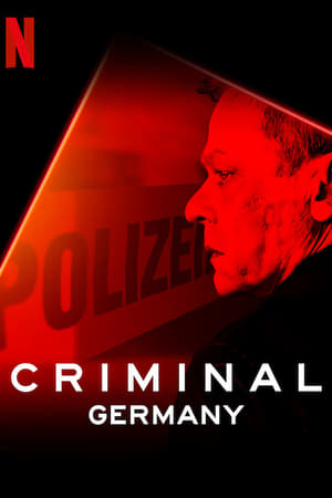 Criminal: Germany (2019) Season 1 All Episodes Dual Audio Hindi [Complete] HD Poster Download - Filmyzilla
