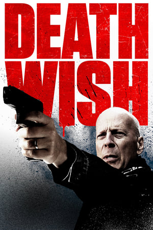 Death Wish (2018) Dual Audio Hindi 350MB HD Poster Download - Filmyzilla