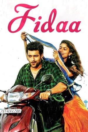 Fidaa 2017 [Hindi - Telugu] Dual Audio [1.2GB] HD Poster Download - Filmyzilla