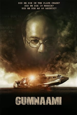 Gumnaami (2019) Hindi Movie [1GB] HD Poster Download - Filmyzilla