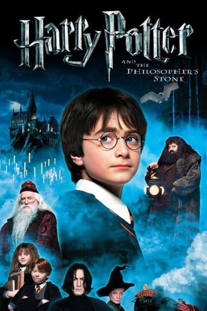 Harry Potter and the Sorcerer's Stone 2001 Hindi Dual Audio HD Poster Download - Filmyzilla