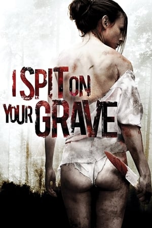 I Spit on Your Grave 2010 Hindi Dual Audio [1.1GB] HD Poster Download - Filmyzilla