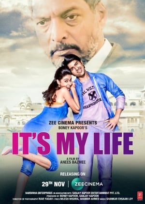 It’s My Life (2020) Hindi Movie – [400MB] HD Poster Download - Filmyzilla