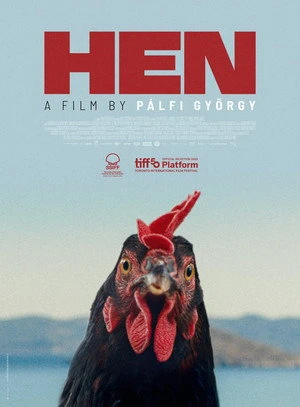 Kota aka Hen 2026 Hindi - Greek Dual Audio HD Poster Download - Filmyzilla