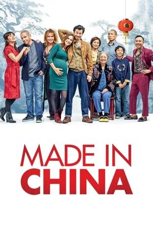 Made in China (2019) Hindi Movie - [340MB] HD Poster Download - Filmyzilla