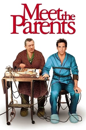Meet the Parents 2000 Hindi Dual Audio 350MB HD Poster Download - Filmyzilla