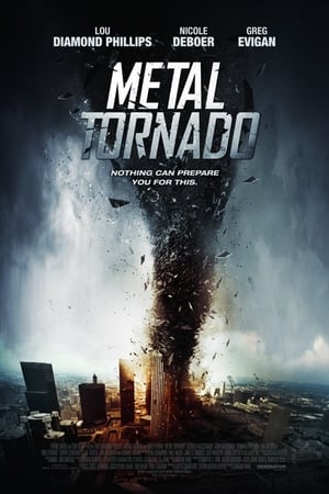 Metal Tornado 2011 Hindi Dual Audio 300MB HD Poster Download - Filmyzilla