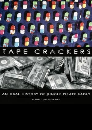 Pirate Radio (2009) Hindi Dual Audio 400MB HD Poster Download - Filmyzilla