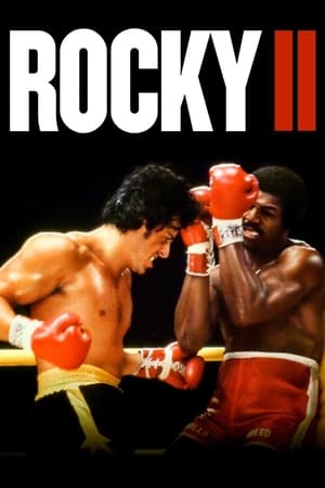 Rocky II (1979) Dual Audio Hindi 400MB HD Poster Download - Filmyzilla