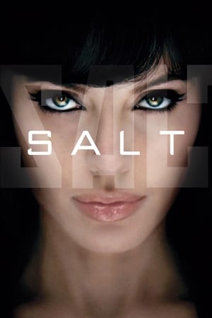 Salt (2010) Hindi Dual Audio [800MB] HD Poster Download - Filmyzilla