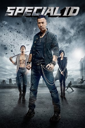 Special ID (2013) Hindi Dual Audio [1.3GB] ESubs HD Poster Download - Filmyzilla