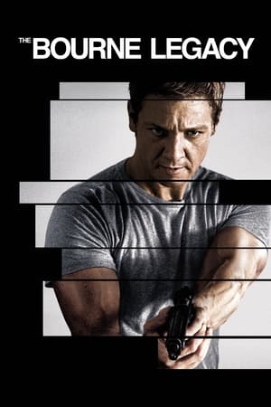 The Bourne Legacy (2012) Hindi Dual Audio 400MB HD Poster Download - Filmyzilla