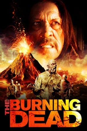 The Burning Dead (2015) Hindi Dual Audio 300MB HD Poster Download - Filmyzilla