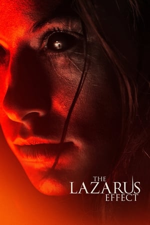 The Lazarus Effect (2015) Hindi Dual Audio [800MB] HD Poster Download - Filmyzilla