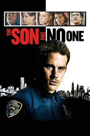 The Son of No One (2011) Hindi Dual Audio 300MB HD Poster Download - Filmyzilla