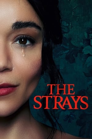 The Strays 2023 Hindi Dual Audio – HD Poster Download - Filmyzilla