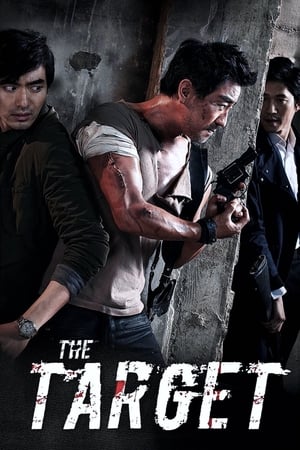 The Target (2014) Hindi Dual Audio 300MB HD Poster Download - Filmyzilla