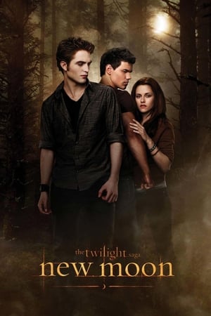 The Twilight Saga New Moon (2009) Hindi Dual Audio [1.0GB] Download HD Poster Download - Filmyzilla