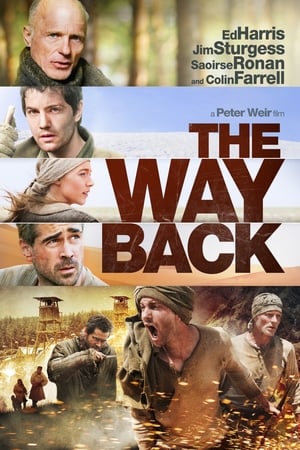 The Way Back (2010) Hindi Dual Audio [950MB] ESubs HD Poster Download - Filmyzilla