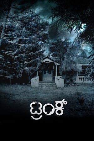 Trunk (2018) (Hindi - Kannada) Dual Audio [1.4GB] HD Poster Download - Filmyzilla
