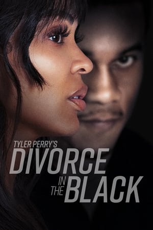 Tyler Perry’s Divorce in the Black (2024) Hindi Dual Audio – 720p – HD Poster Download - Filmyzilla