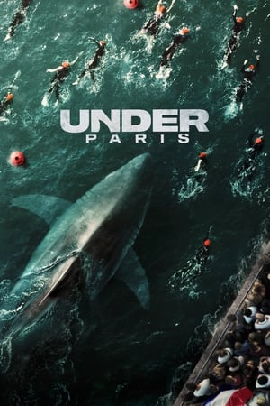 Under Paris 2024 Hindi Dual Audio – 720p – HD Poster Download - Filmyzilla