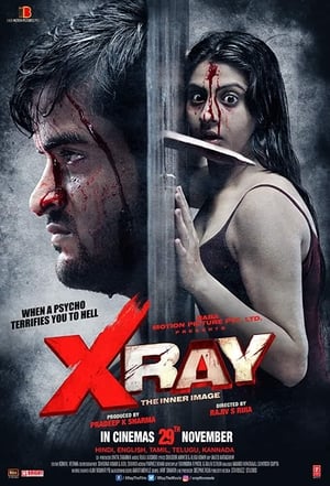 X Ray The Inner Image 2019 Movie - [300MB] HD Poster Download - Filmyzilla